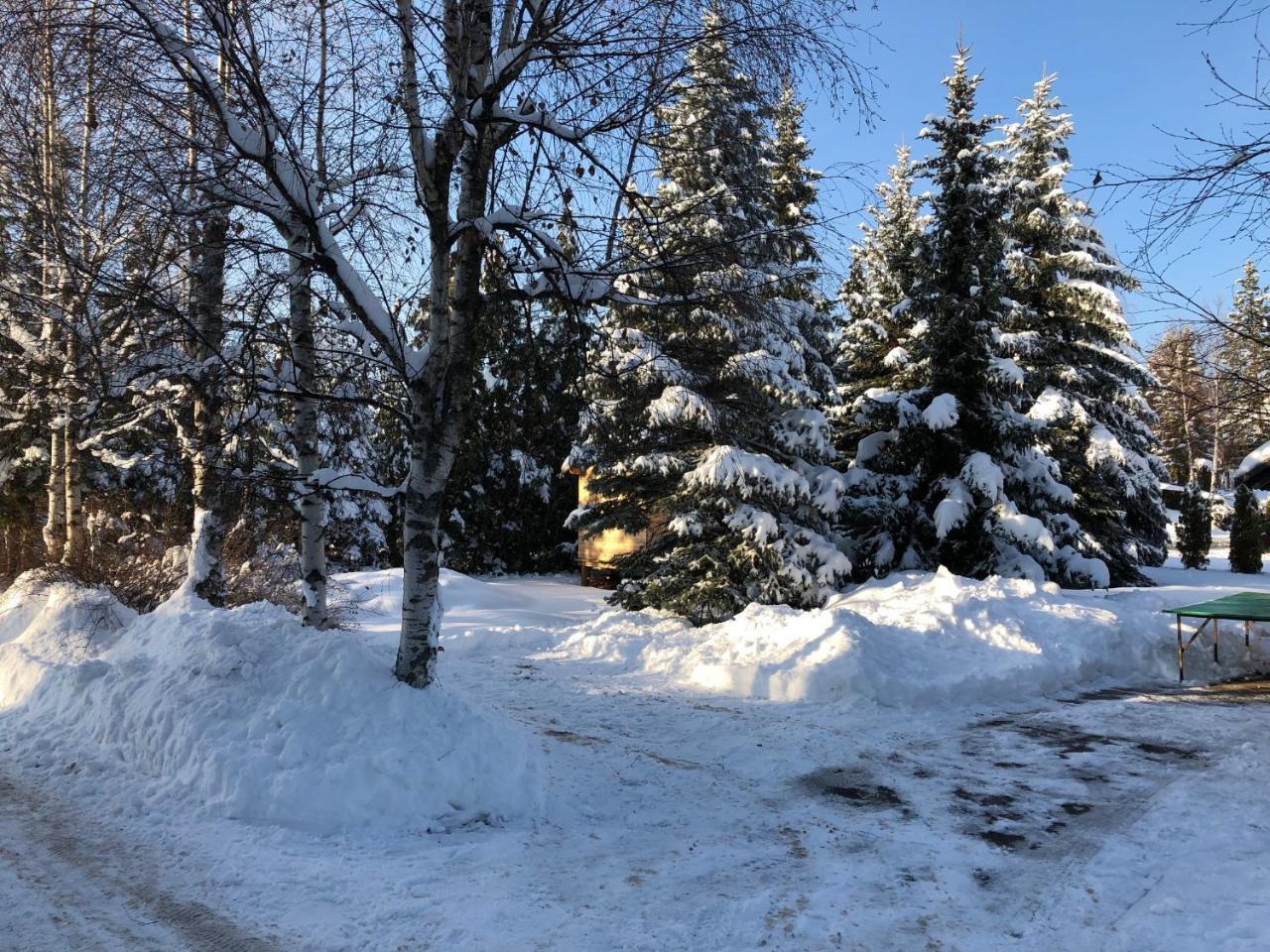 Holiday Home Vila Tejic Zlatibor Kültér fotó