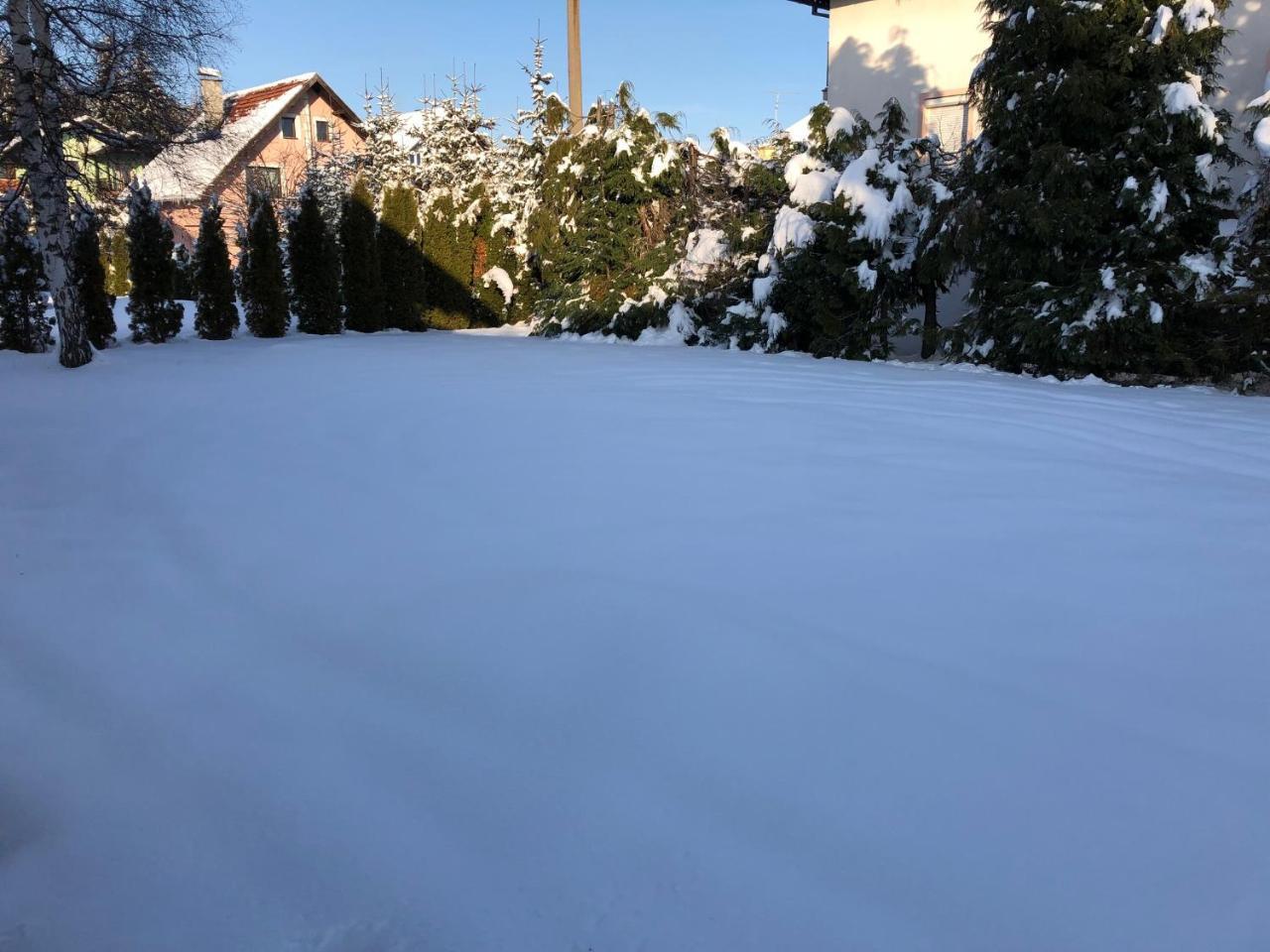 Holiday Home Vila Tejic Zlatibor Kültér fotó