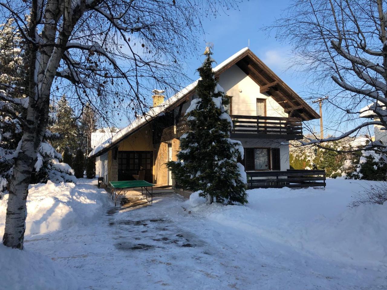 Holiday Home Vila Tejic Zlatibor Kültér fotó