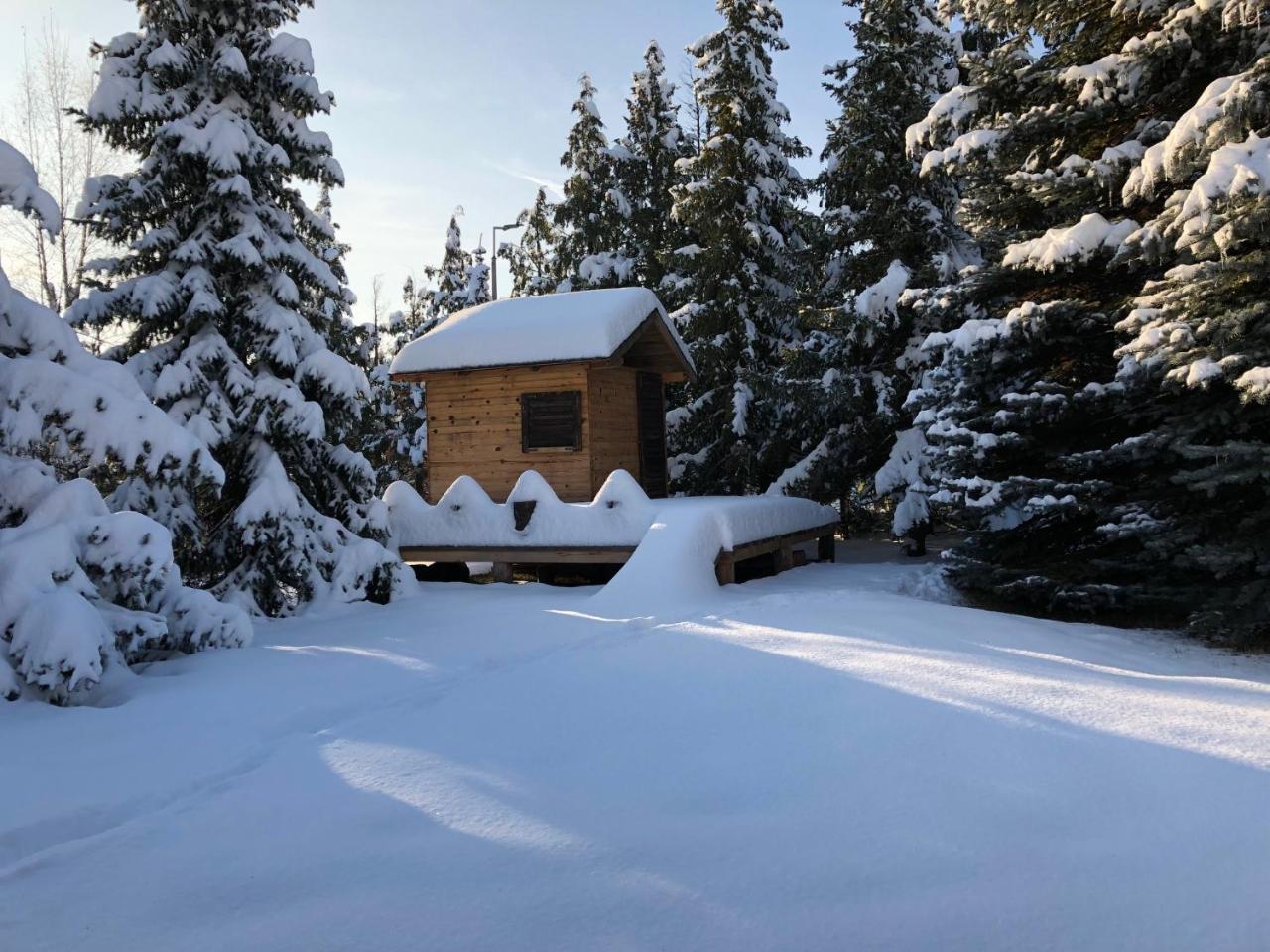 Holiday Home Vila Tejic Zlatibor Kültér fotó