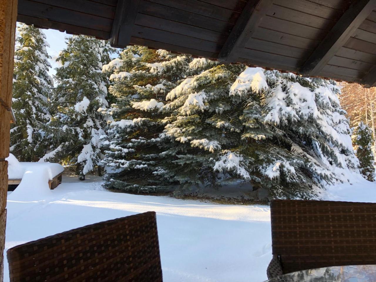 Holiday Home Vila Tejic Zlatibor Kültér fotó