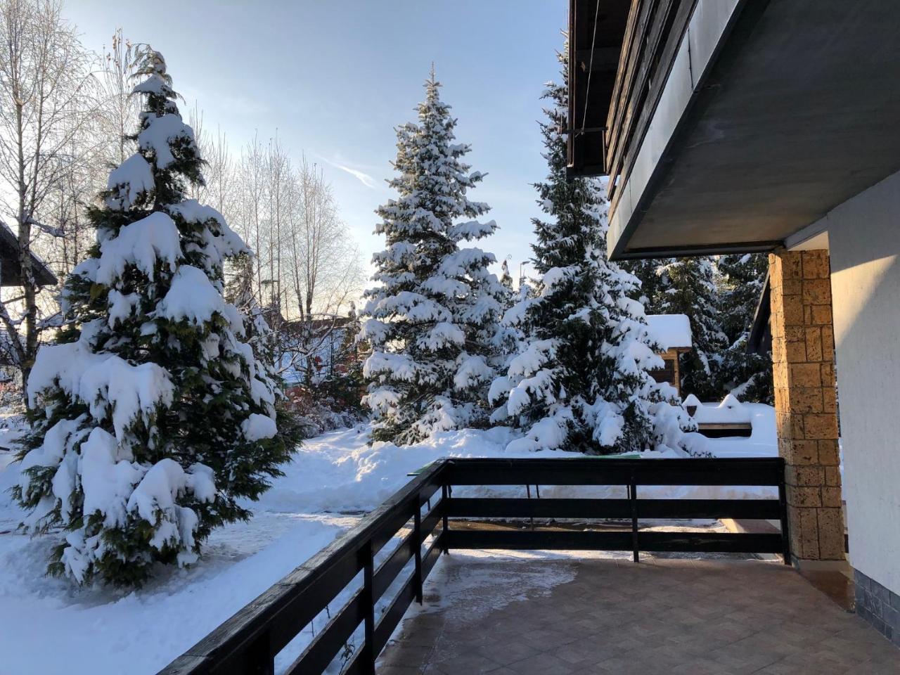 Holiday Home Vila Tejic Zlatibor Kültér fotó