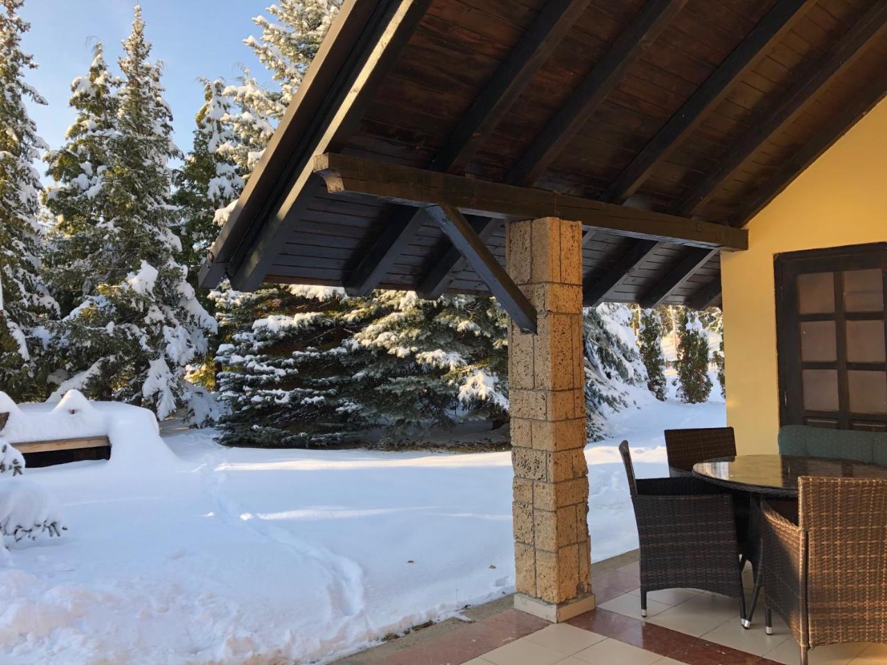 Holiday Home Vila Tejic Zlatibor Kültér fotó